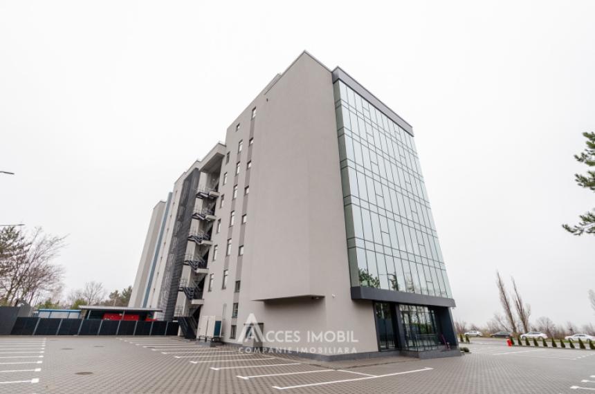 Spații de birouri de închiriat în sectorul Botanica, bd. Dacia – 366 mp!: 15