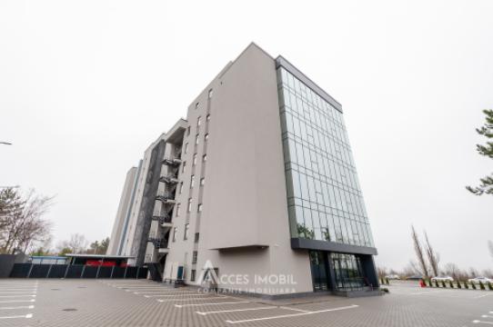 Spații de birouri de închiriat în sectorul Botanica, bd. Dacia – 366 mp!: 15