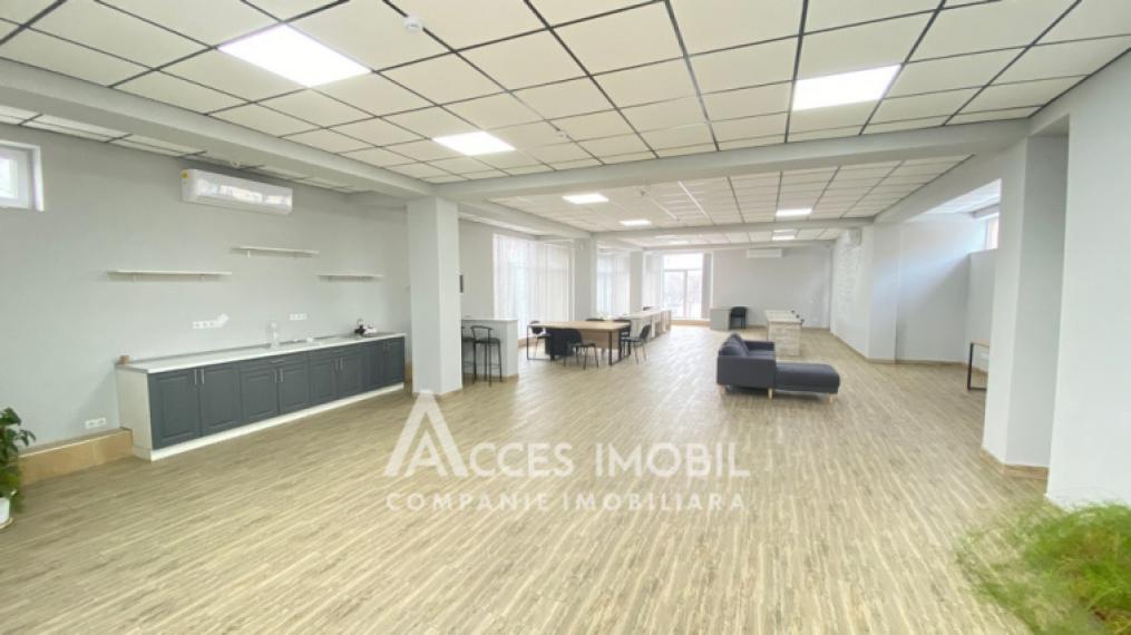 For Rent! Commercial Space! Rascani, Andrei Doga street, 160m2! Euro repair!: 2