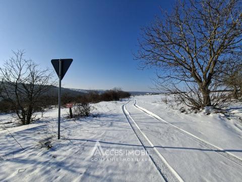 Teren Agricol 21 ari! Tohatin, M14!: 2