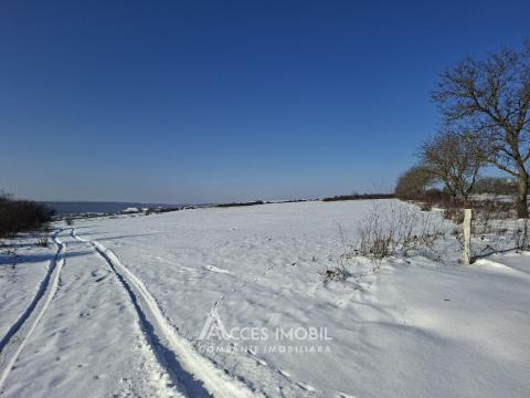 Teren Agricol 21 ari! Tohatin, M14!: 3