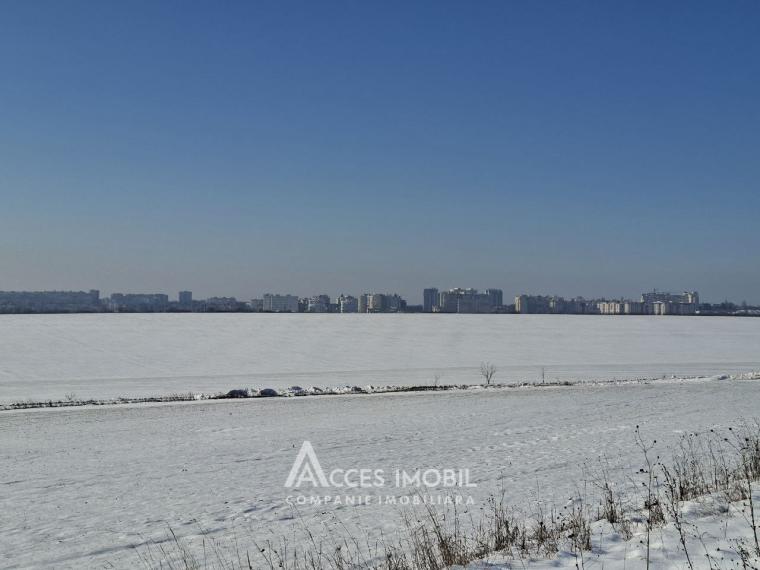 Teren Agricol 10 ari! Tohatin, I.P. Asociatul!: 0