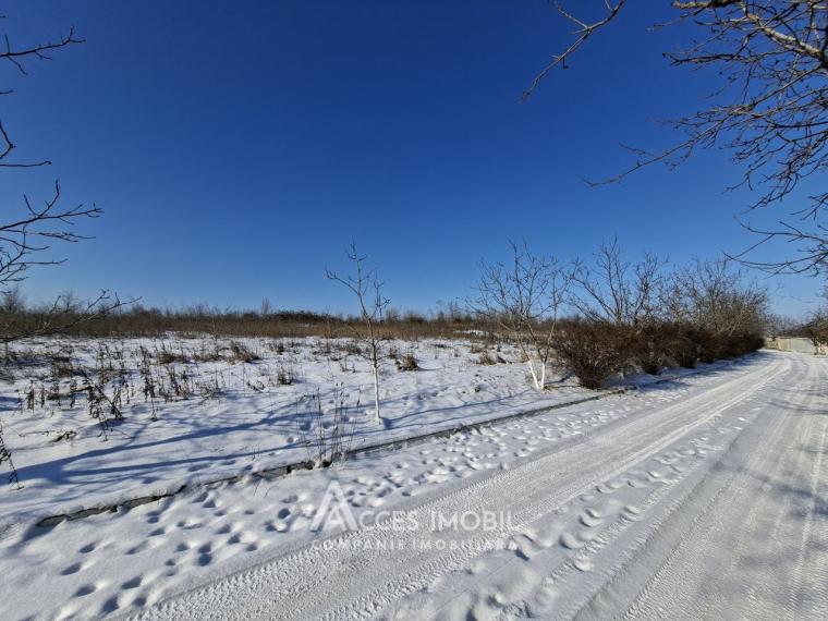 Teren Agricol 10 ari! Tohatin, I.P. Asociatul!: 1