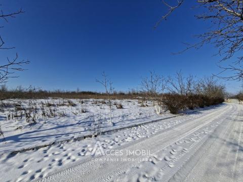 Teren Agricol 10 ari! Tohatin, I.P. Asociatul!: 1