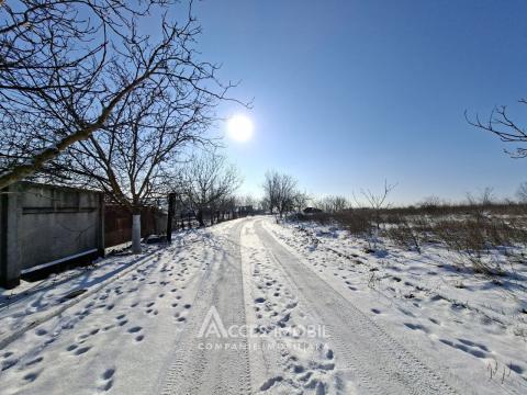 Teren Agricol 10 ari! Tohatin, I.P. Asociatul!: 2