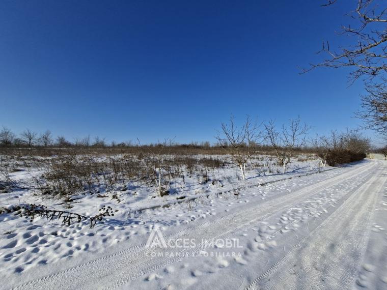 Teren Agricol 10 ari! Tohatin, I.P. Asociatul!: 3