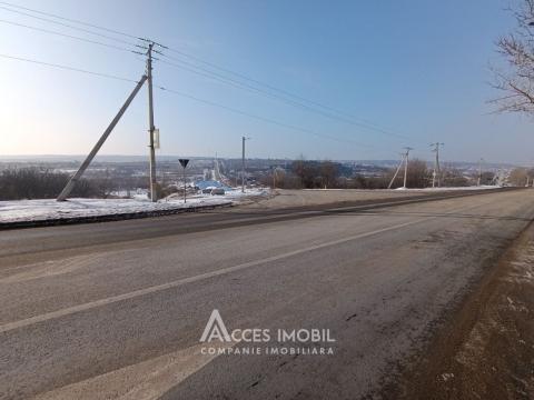 Lot de teren agricol, 40 ari! Trușeni! str. Drumul Vieții: 1