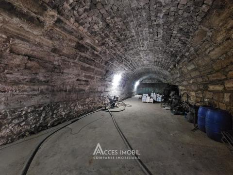 Oportunitate de Investiție: Complex Agro-Industrial, 25 km de Chișinău!: 5