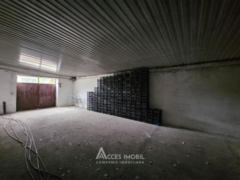 Oportunitate de Investiție: Complex Agro-Industrial, 25 km de Chișinău!: 6