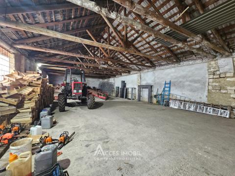 Oportunitate de Investiție: Complex Agro-Industrial, 25 km de Chișinău!: 7