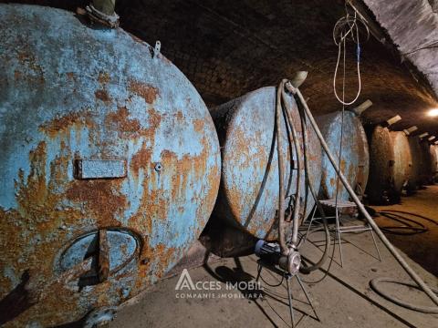 Oportunitate de Investiție: Complex Agro-Industrial, 25 km de Chișinău!: 8