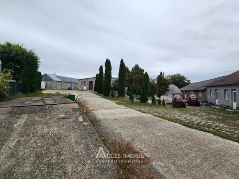 Oportunitate de Investiție: Complex Agro-Industrial, 25 km de Chișinău!: 9