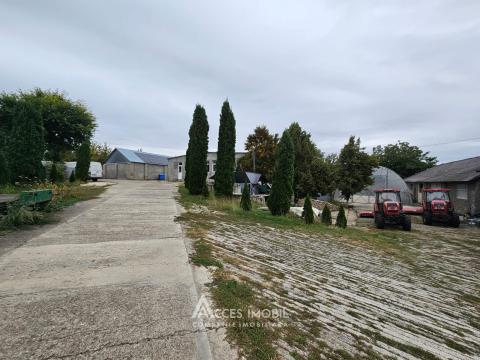 Oportunitate de Investiție: Complex Agro-Industrial, 25 km de Chișinău!: 10