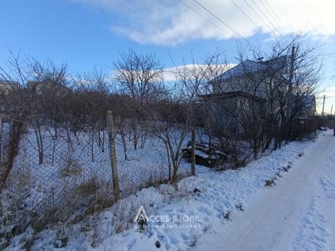 Terenuri de vânzare în Chișinău: Codru, Ip Vierul