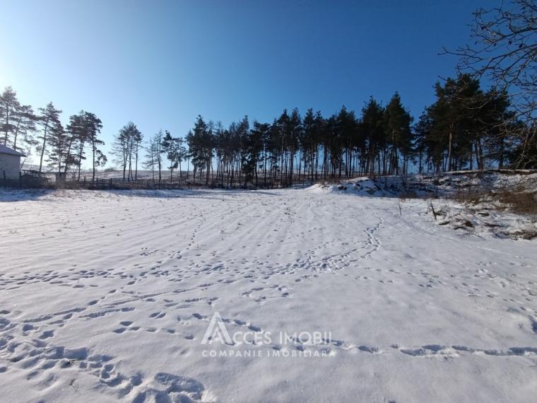 Teren pentru construcție 18 ari! Ialoveni, s. Sociteni, str. Pinilor!: 2