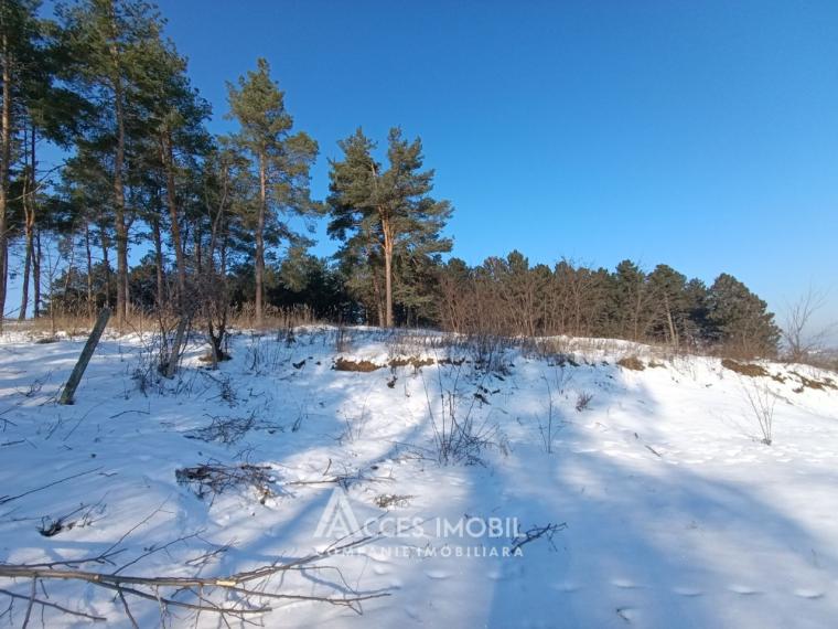 Teren pentru construcție 18 ari! Ialoveni, s. Sociteni, str. Pinilor!: 4