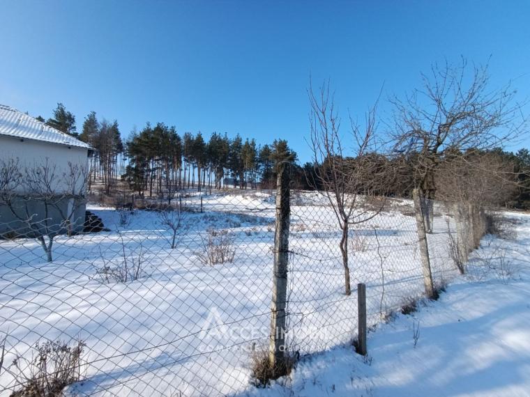 Teren pentru construcție 18 ari! Ialoveni, s. Sociteni, str. Pinilor!: 5