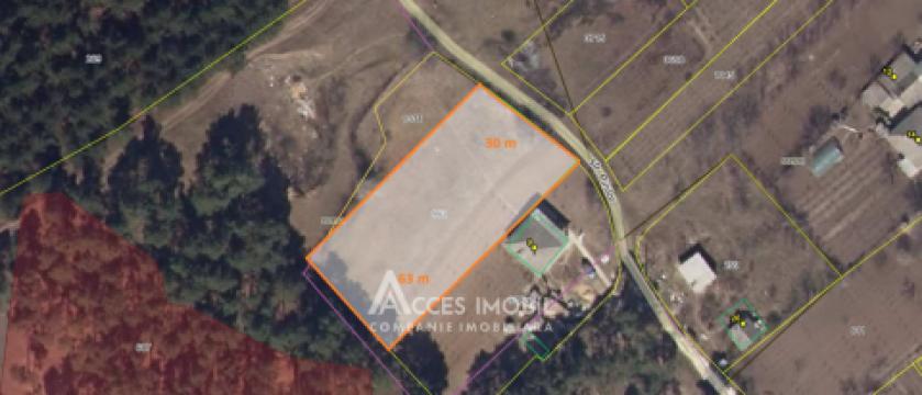 Teren pentru construcție 18 ari! Ialoveni, s. Sociteni, str. Pinilor!: 6