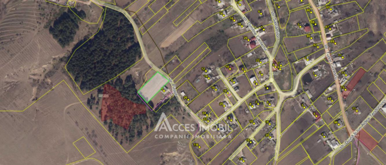 Teren pentru construcție 18 ari! Ialoveni, s. Sociteni, str. Pinilor!: 7