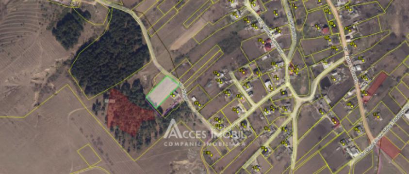 Teren pentru construcție 18 ari! Ialoveni, s. Sociteni, str. Pinilor!: 7