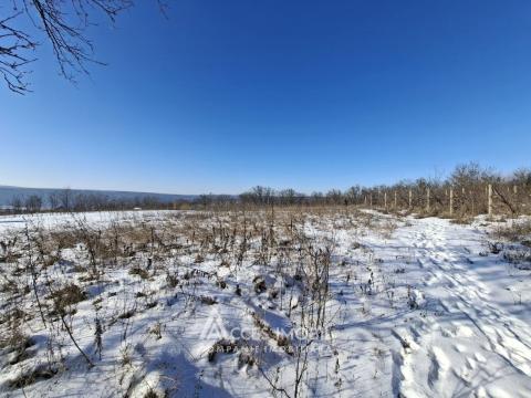 Teren pentru construcție 21.47 ari! Orhei, satul Donici!: 2