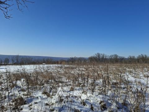 Teren pentru construcție 21.47 ari! Orhei, satul Donici!: 3