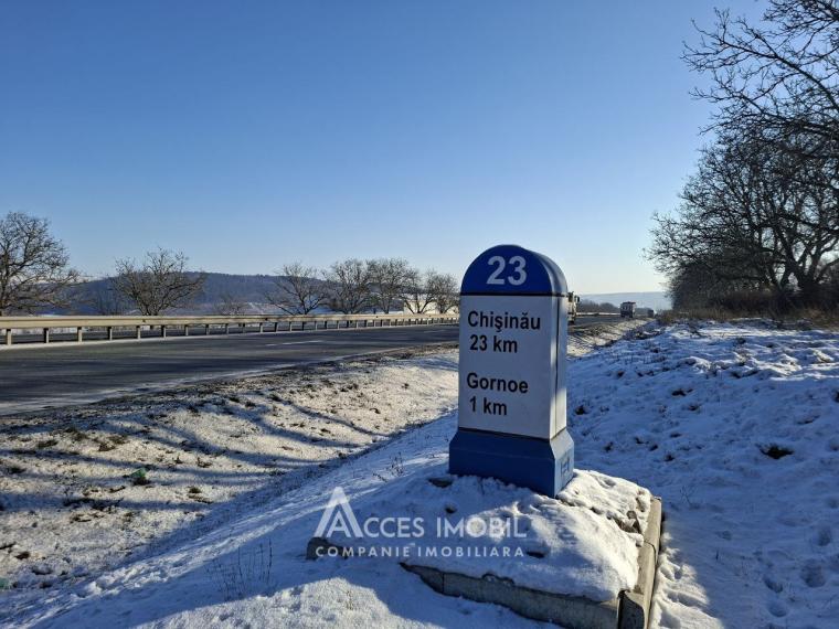 Teren 22 ari! Peresecina. Drum național M2!: 0