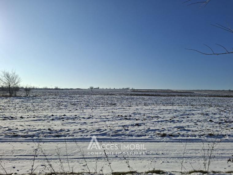 Teren 22 ari! Peresecina. Drum național M2!: 3