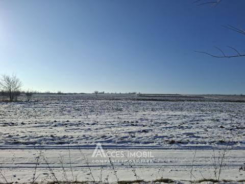 Teren 22 ari! Peresecina. Drum național M2!: 3