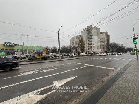 Botanica, Independentei street, 1 room! Middle position! Euro repair!: 7