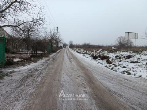 Lot de teren pomicol, 6 ari! Trușeni!: 2