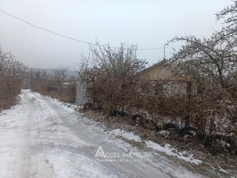 Lot de teren pomicol, 6 ari! Trușeni!: 3