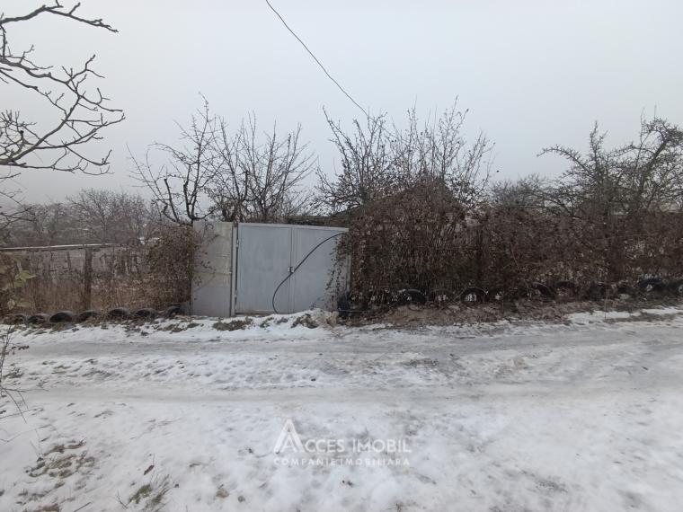 Lot de teren pomicol, 6 ari! Trușeni!: 5