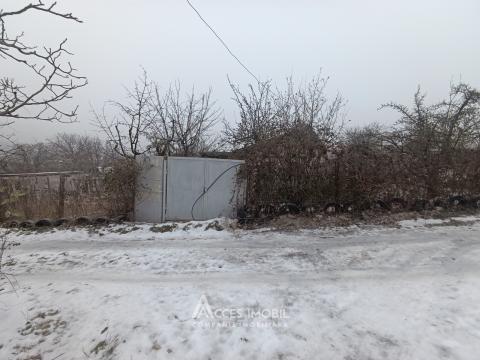 Lot de teren pomicol, 6 ari! Trușeni!: 5