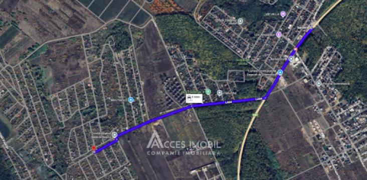 Lot de teren pomicol, 6 ari! Trușeni!: 8