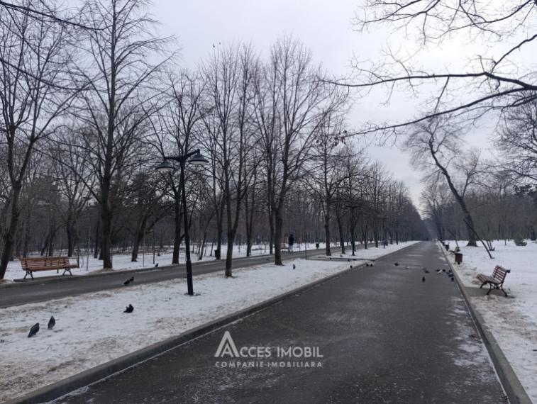 Glorinal! New Block! Center, Valea Trandafirilor Street, 3 rooms! Eurorepair!: 18