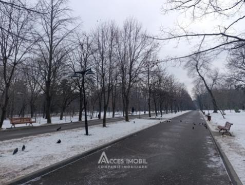 Glorinal! New Block! Center, Valea Trandafirilor Street, 3 rooms! Eurorepair!: 18