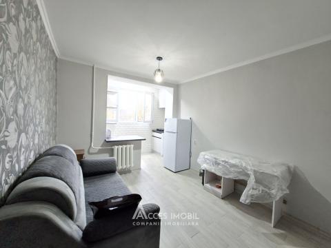 : Botanica, str. Belgrad