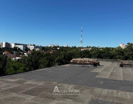 Телецентр, ул. Друмул Виилор, 2 комнаты! Серия «Брежневка»!: 16