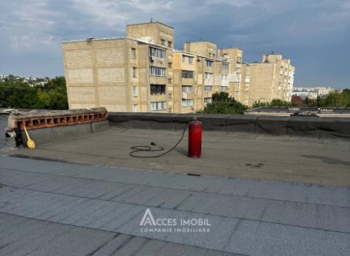 Телецентр, ул. Друмул Виилор, 2 комнаты! Серия «Брежневка»!: 17