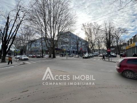 Botanica, Nicolai Zelinschi street, 1 room + living! Euro repair!: 11