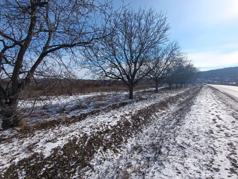 : Trușeni, str. Calea Trușenilor