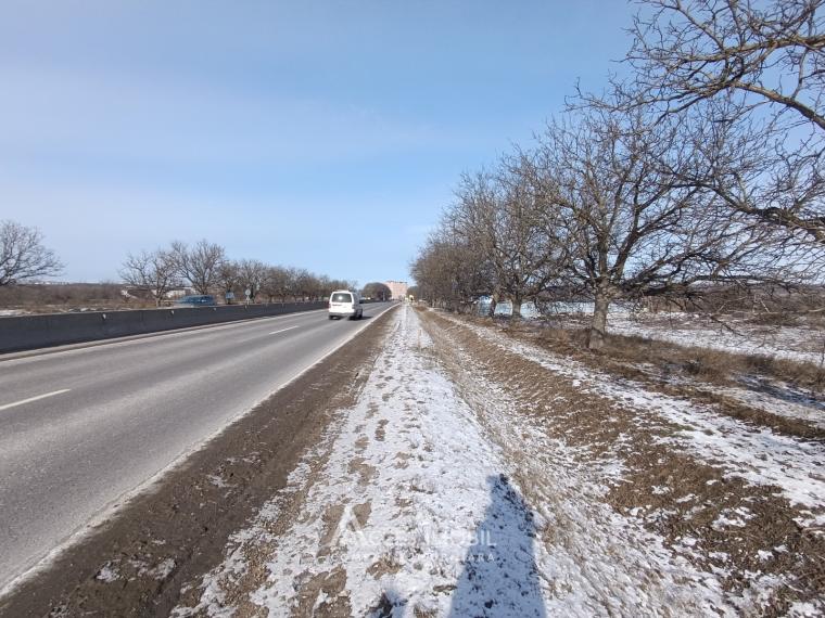 Teren comercial 54 ari! Trușeni, str.Calea Trușenilor!: 2