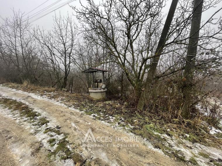 Lot de teren pomicol, 6 ari! Trușeni!: 5