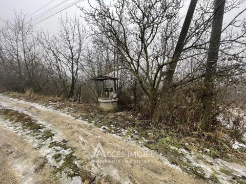 Lot de teren pomicol, 6 ari! Trușeni!: 5