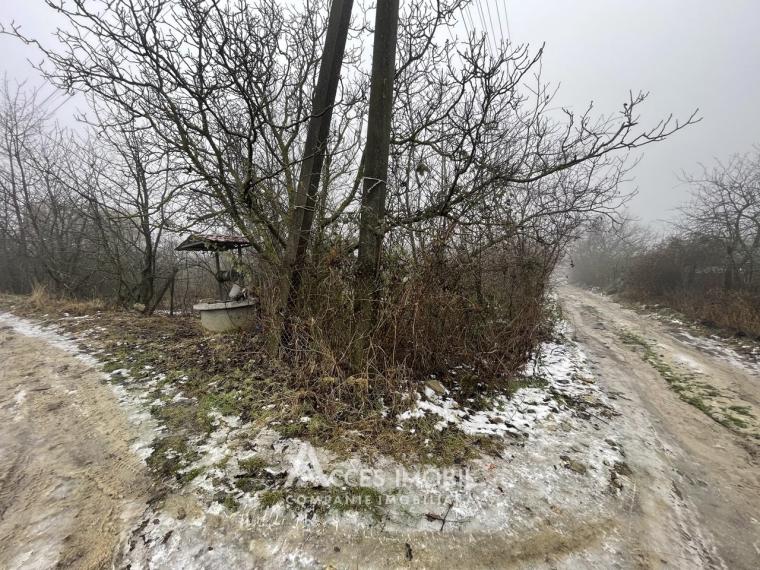 Lot de teren pomicol, 6 ari! Trușeni!: 6