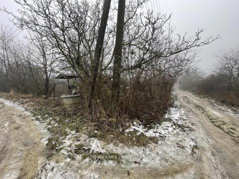 Lot de teren pomicol, 6 ari! Trușeni!: 6