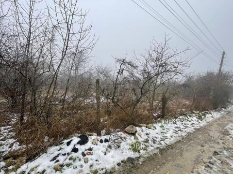 Lot de teren pomicol, 6 ari! Trușeni!: 7