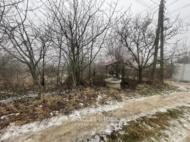 Lot de teren pomicol, 6 ari! Trușeni!: 8