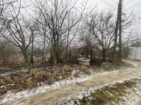 Lot de teren pomicol, 6 ari! Trușeni!: 8